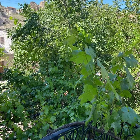 A Local Experience In Cappadocia Apartment Urgup